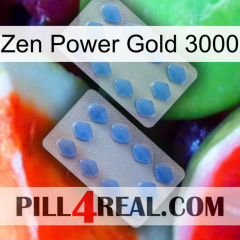 Zen Power Gold 3000 20
